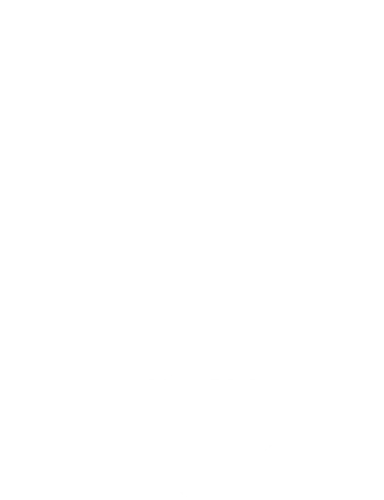Skischule Bad Gastein Logo (weiß)